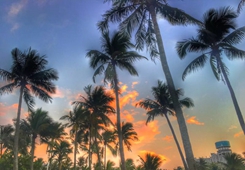 ȫ���_�����L���������V�������п���