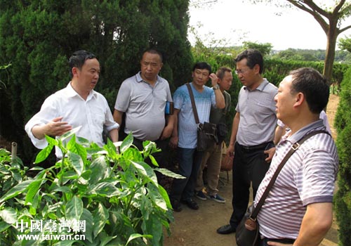 考察團一行赴臺進行農業考察 考察團一行赴臺進行農業考察