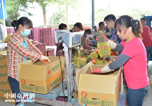 �P���b���\������Ј�