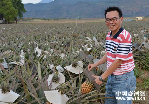 �P��׌����ɽ�µĹ��r������