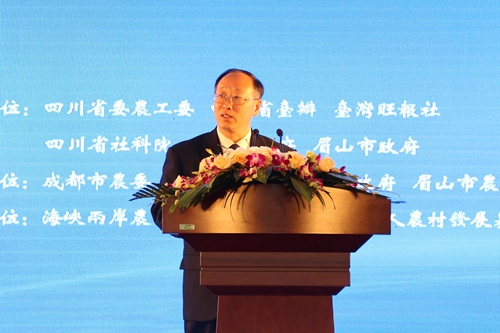 �����ô��_�r�I����Փ��