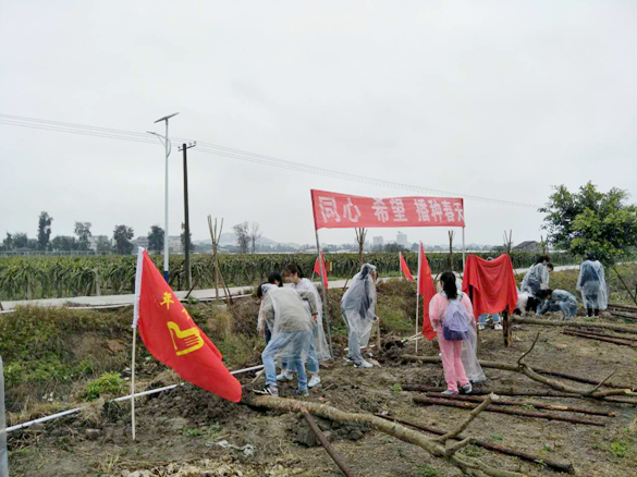 ��ͬ�� ϣ�� ���N���족����2017�꺣�{���ꄓ�I�����_������ˮ���@�Nֲ����ڸ����_���@�e��