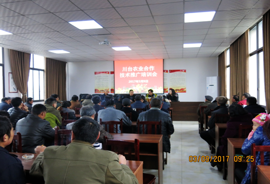 �Ĵ��½��_��(chu��ng)�@�_��������F���½��_չ�a�I(y��)ָ������