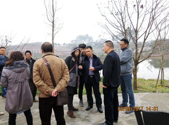 �Ĵ��½��_��(chu��ng)�@�_��������F���½��_չ�a�I(y��)ָ������