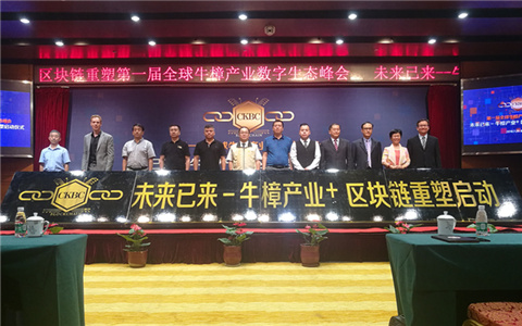 ��һ��ȫ��ţ���a(ch��n)�I(y��)��(sh��)�����B(t��i)���(hu��)�ھ����_