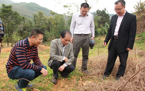 �V��ʡ��ɫ���_�k���_��lչ���\����