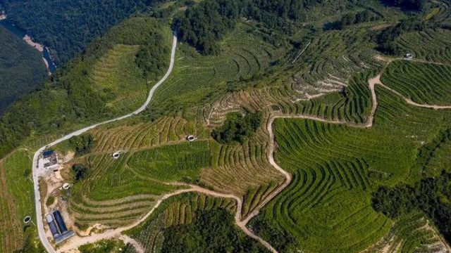 貴州新添14個全國地理標(biāo)志農(nóng)產(chǎn)品,你pick哪一個?