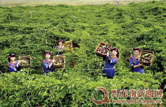 ���R�l(xi��ng)�f(w��n)�����������{(di��o)���w�_(t��i)��