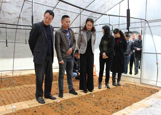 �f��: ��Ƭ 126