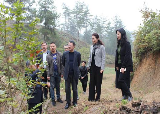 �f��: ��Ƭ 140