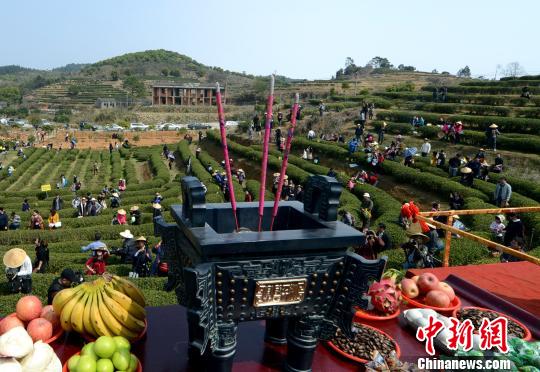 �}�����_����һ�ɡ� �ɰ���̽���򻨲��Ļ�֮��