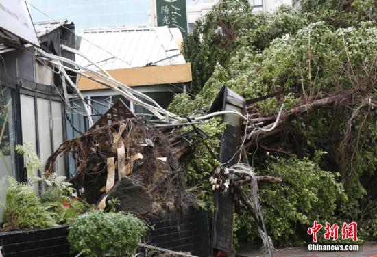 8��8����������_�L���K���_�����_���Q���K���ա�����ꑲ��S�󡰙M�����_����ȫ�_���ش��ܛ_��������8������1�r30��������6������4��ʧۙ��101���܂����D��һ�w��䱻�B�������� <a target='_blank' ><p  align=