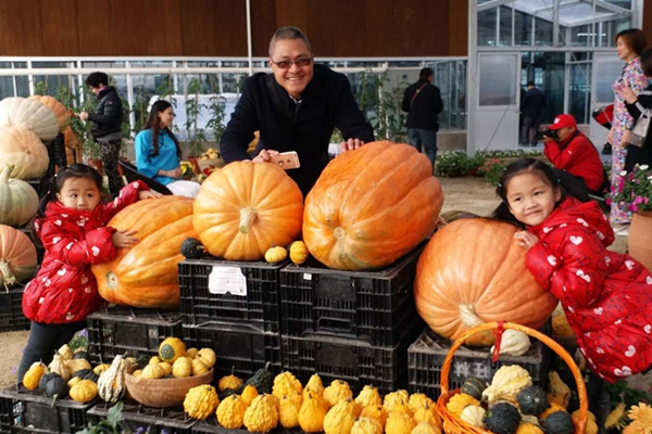 2016�V�|ʡ��ʮ��÷N�I(y��)���[���麣�֕����_��(chu��ng)�@�_Ļ