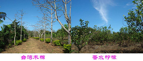 �_�Y��I�|���f�@ �������e�ȼٵĺ�ȥ̎