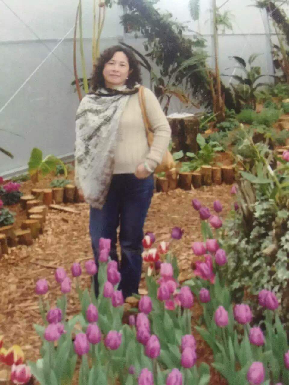 俠心眷侶共筑香芋王國 俠心眷侶共筑香芋王國