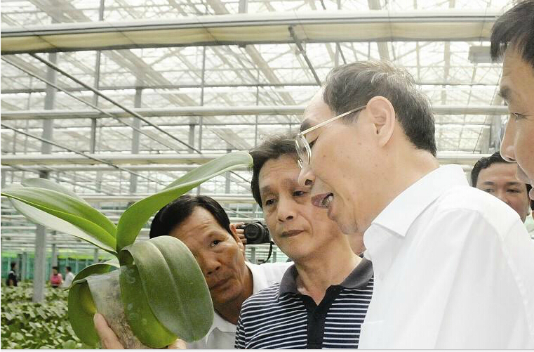 尤權抵臺走親訪友 合作交流 共謀發展 尤權抵臺走親訪友 合作交流 共謀發展