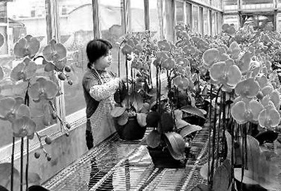 �}�r�I���H�����_�Y��20�|��Ԫ�Ӵ����λ