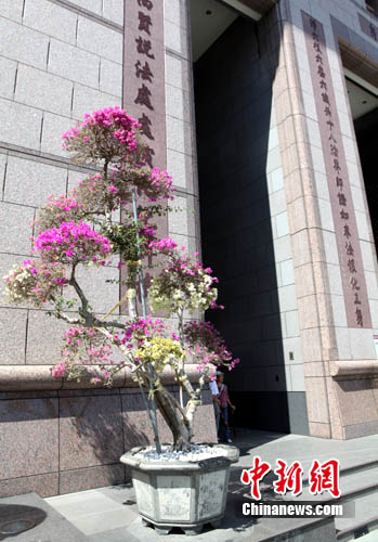 �_�����_�U�´���οͽj�[