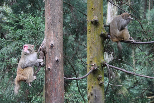 �_��ֱ�w���ҽ��p����  �ﶬ���ήaƷ�ܚgӭ