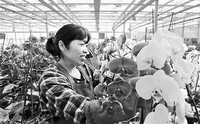 �_(t��i)���m�����½��`�ţ��D��