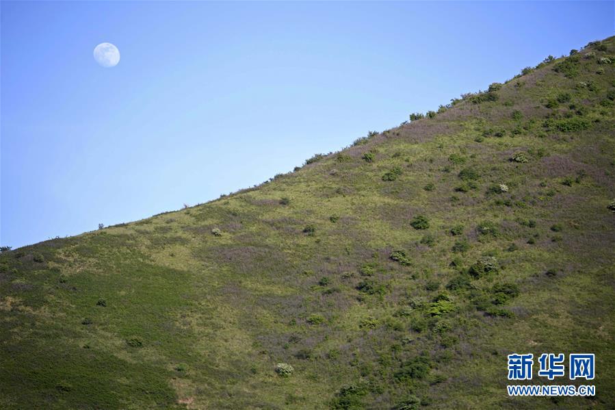 ���h������1���GȾ������