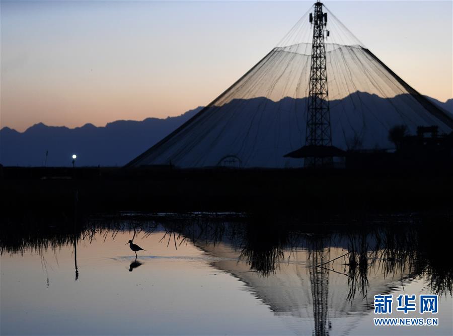 ���h(hu��n)������1����ɳ��ˮ ���B���]