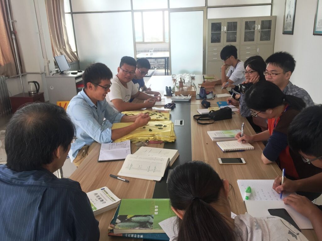 2016年威臺文化交流取得顯著成效 2016年威臺文化交流取得顯著成效