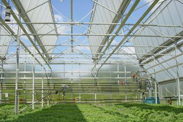 2021年,山西設(shè)施農(nóng)業(yè)如何發(fā)展?.jpg