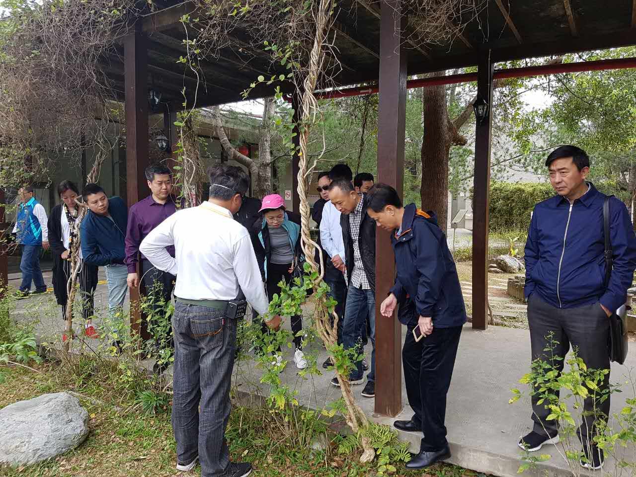 ����F���L�������g�r��