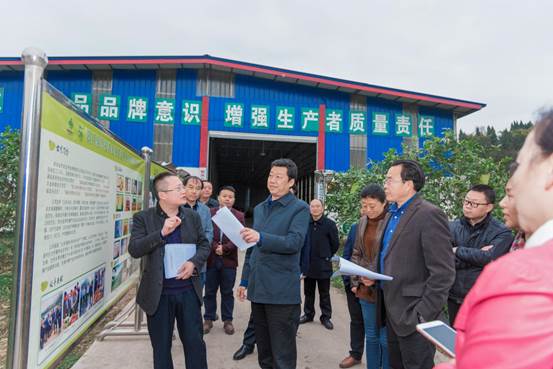 �f��: DSC_3006