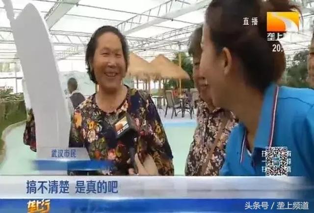 農(nóng)業(yè)嘉年華在武漢開幕:這是一場農(nóng)民的狂歡 農(nóng)業(yè)嘉年華在武漢開幕:這是一場農(nóng)民的狂歡