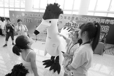 兩岸攜手保護“神話之鳥”中華鳳頭燕鷗 兩岸攜手保護“神話之鳥”中華鳳頭燕鷗