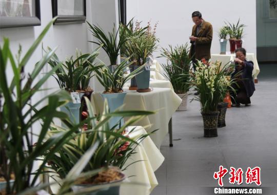 �_���mչ25���ڏV�|혵�ꐴ廨�������Ļ��չ��500�����_���m��