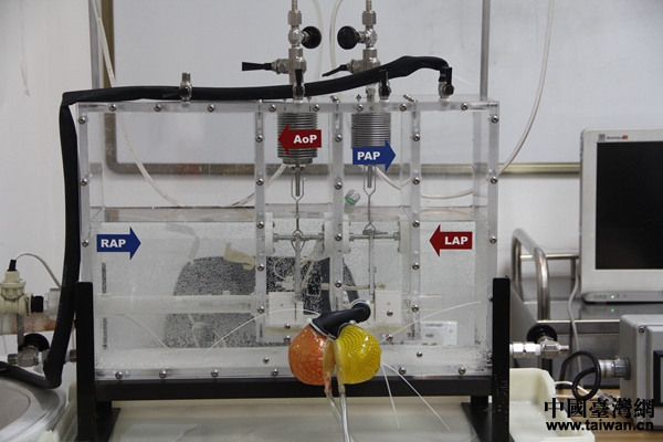 �P��ȫ�˹����Kģ�M�����