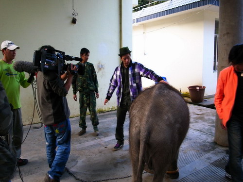 �_�������ҕ�_�����p��{���Ĕz��Ŀ