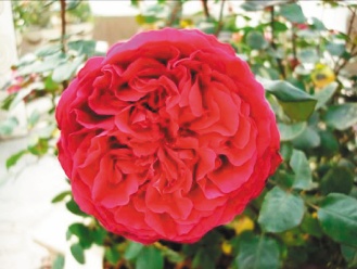 ʿ�ֹ�ۡ 4ǧ��õ�市�G