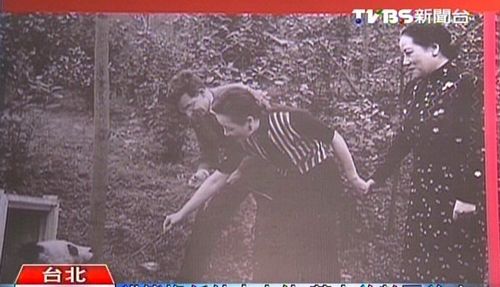 臺北推出宋美齡抱熊貓公仔超級吸睛(圖)