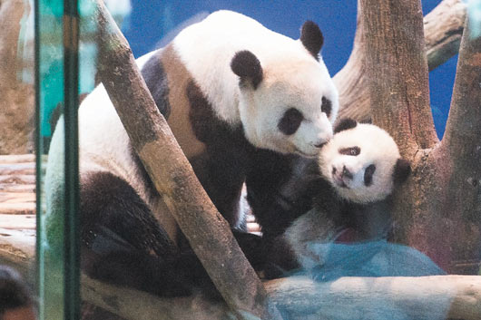 ���f�ˠ����_������؈��������Q��߀Ҫ�ف���