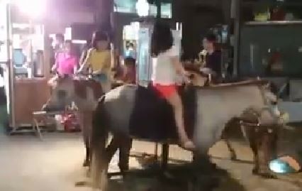 �_�����Aҹ���@Ҋ�����w���Dľ�R���W������̫���������_ý�D��