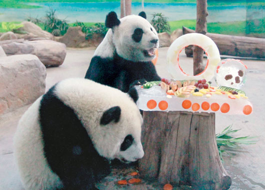 ٛ�_����؈�F�F���A�A�^10�q���մ�е��⣨�D��