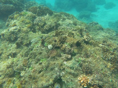 �_������ɺ����Ⱥ��(j��)����rֵ40�|�_�ţ��D��