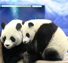 �_��������`�` ����؈���A�С�������ȡů