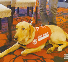 ��äȮ�y�����B��ͥ �����ҡ����֋���