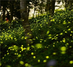 �_(t��i)�����@���조Ξ���x��Ϣ�ء� �[�Ѕ^(q��)�cΞ����