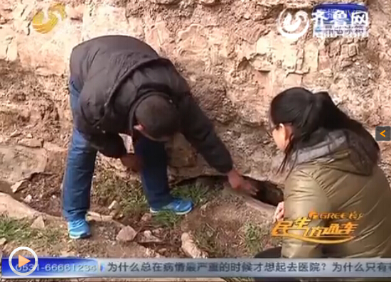 鄒城市張莊鎮(zhèn)的巡山員老劉在巡邏到鳳凰山大佛附近時(shí)發(fā)現(xiàn)怪魚。(視頻截圖)