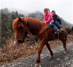 �DƬ���£��V�����������������؃�ͯ�T�R�όW(xu��)