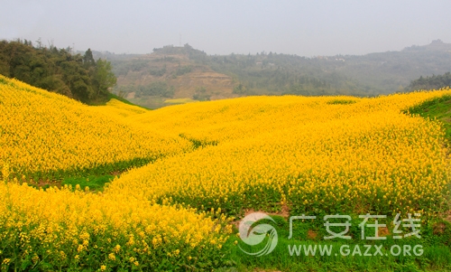 �Ͳ˻��_����ؽ��S ȥ�Ĵ��V���w���`���l(xi��ng)��֮�ã�