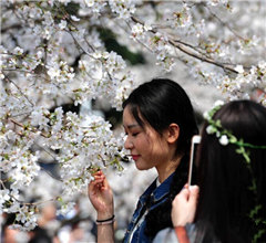 ֱ�����ѻ���