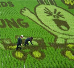 ȫ������LINE�ʵ��� ���|�����ǈ�(ch��ng)