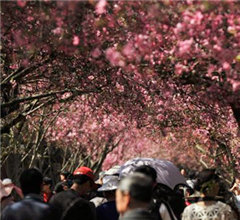 �������Σ�����ʮ�����΄ٵز����e�^